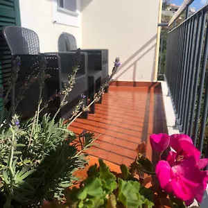 Sunshine , Gaula Portugalia